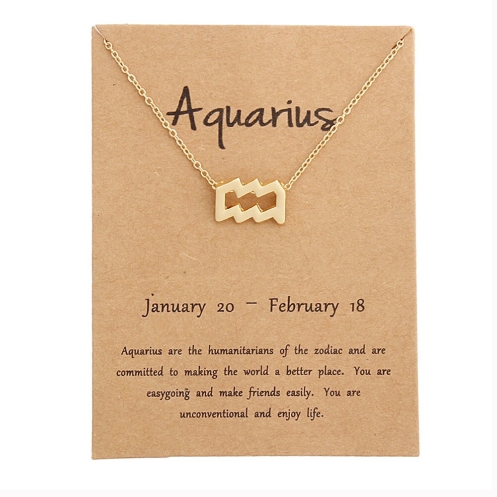 Aquarius - Zodiac ♒️ Sign Necklace w/ Card